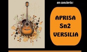 Conciertos Sala b: Aprisa, SN2 y Versilia