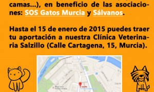 Recogida de Alimentos y Enseres para Perros y Gatos