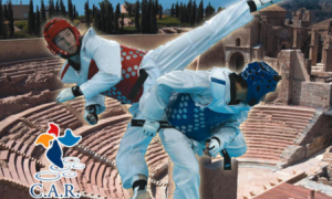 Campeonato de España de Taekwondo: Categoría Absoluta