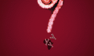 Ébola: ¿Quieres conocer algo más sobre el virus?