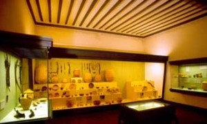 Visitas guiadas en El Cigarralejo