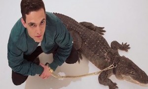 Concierto de C. Tangana + L'Avenida