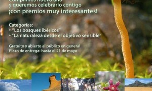 I Concurso de Fotografía de la Naturaleza de ARBA Murcia 2015