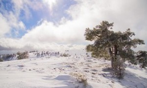 Comienzan las rutas de Descubriendo Moratalla
