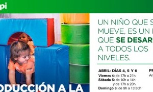 Curso de introducción Psicomotricidad