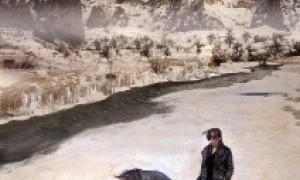 Filmoteca Regional - hasta el 15 de enero