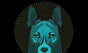 EL IMPERIO DEL PERRO EN MURCIA MICROSONIDOS 2017