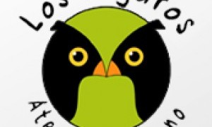 Actividades en Los Pájaros del 29 noviembre