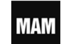 Actividades de Difusión del Museo Arqueológico de Murcia