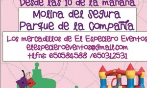 Mercadillo de Variedades en Molina de Segura