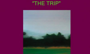 Exposición The trip de Hònas Delgado