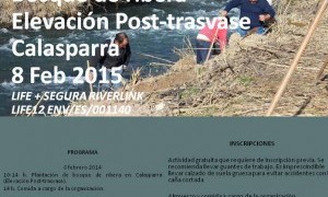 Actividad de voluntariado 'Plantación bosque de Ribera'