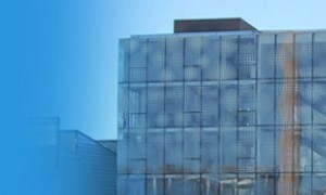 V Feria Outlet de Las Torres de Cotillas